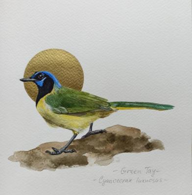 �����. ���������� ������������ �����. �������� ���������