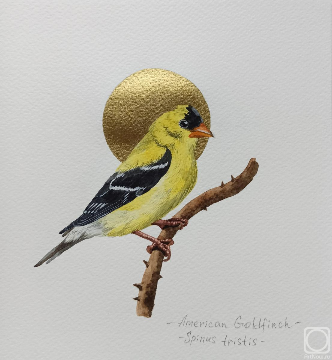 �������. �������� ���������. �����. ������������ ���