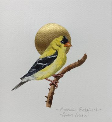 �����. ������������ ���. �������� ���������