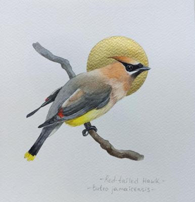 �����. ������������ ����������. �������� ���������