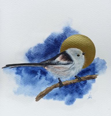 �����. ������������� ������. �������� ���������