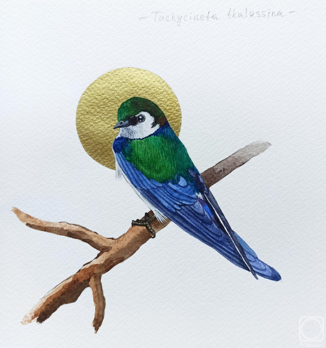 �������. �������� ���������. �����. ���������-������� ������������ ��������