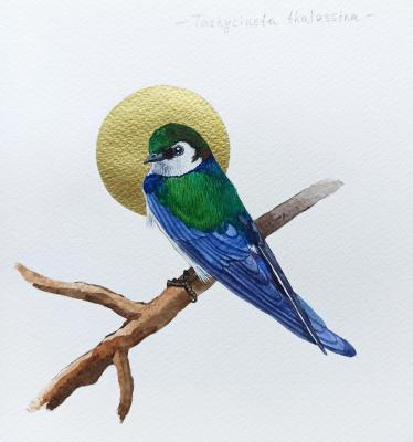 �����. ���������-������� ������������ ��������. �������� ���������