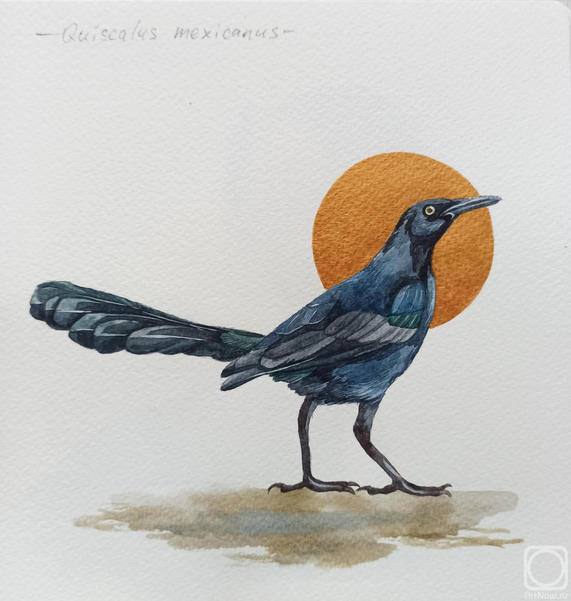 �������. �������� ���������. �����. ������������� �����