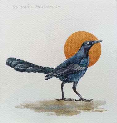 �����. ������������� �����. �������� ���������