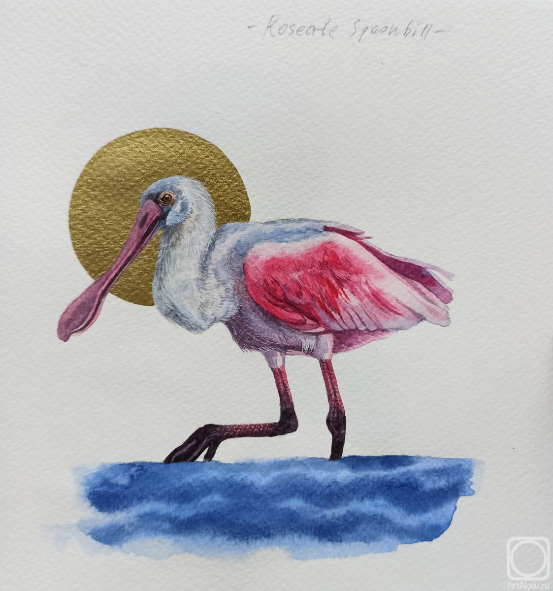 Prokazyuk Anastasiya. Untitled