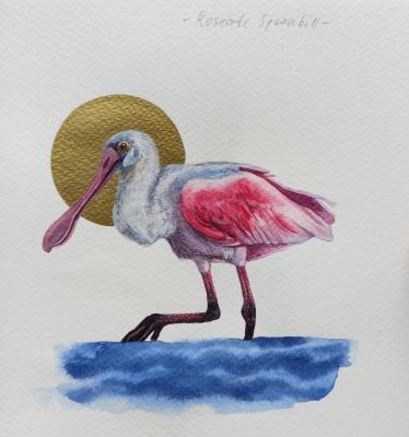 �����. ������� ������� (�������� ���������). �������� ���������