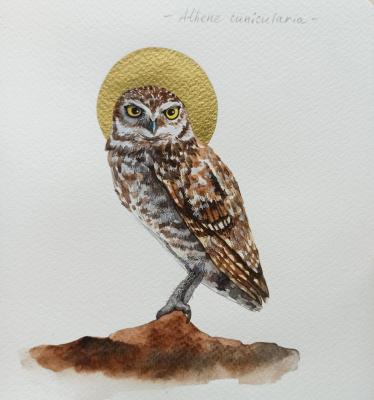 �����. �������� ��� (�������� ���������). �������� ���������