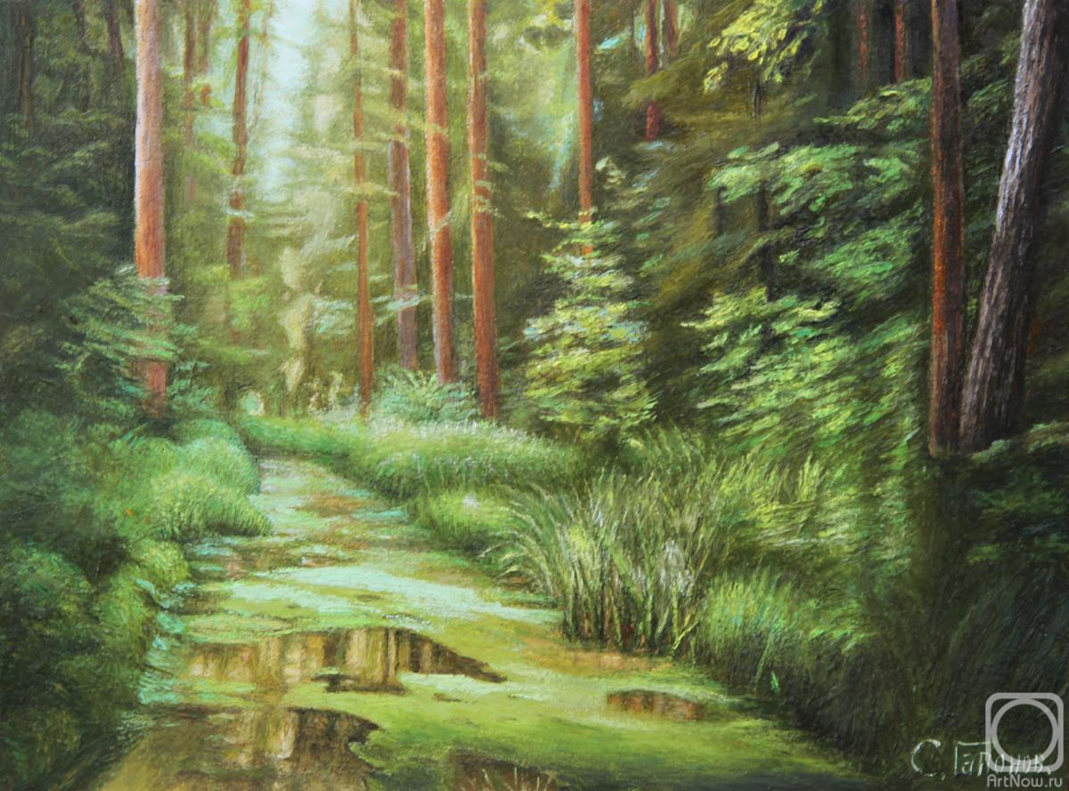 ������� ������ �� ������. ������� ������. ������������ ���