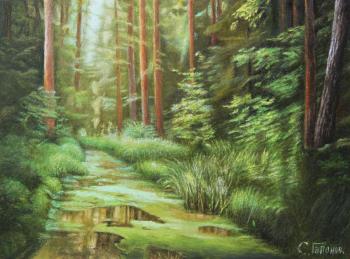 Mysterious forest. Gaponov Sergey