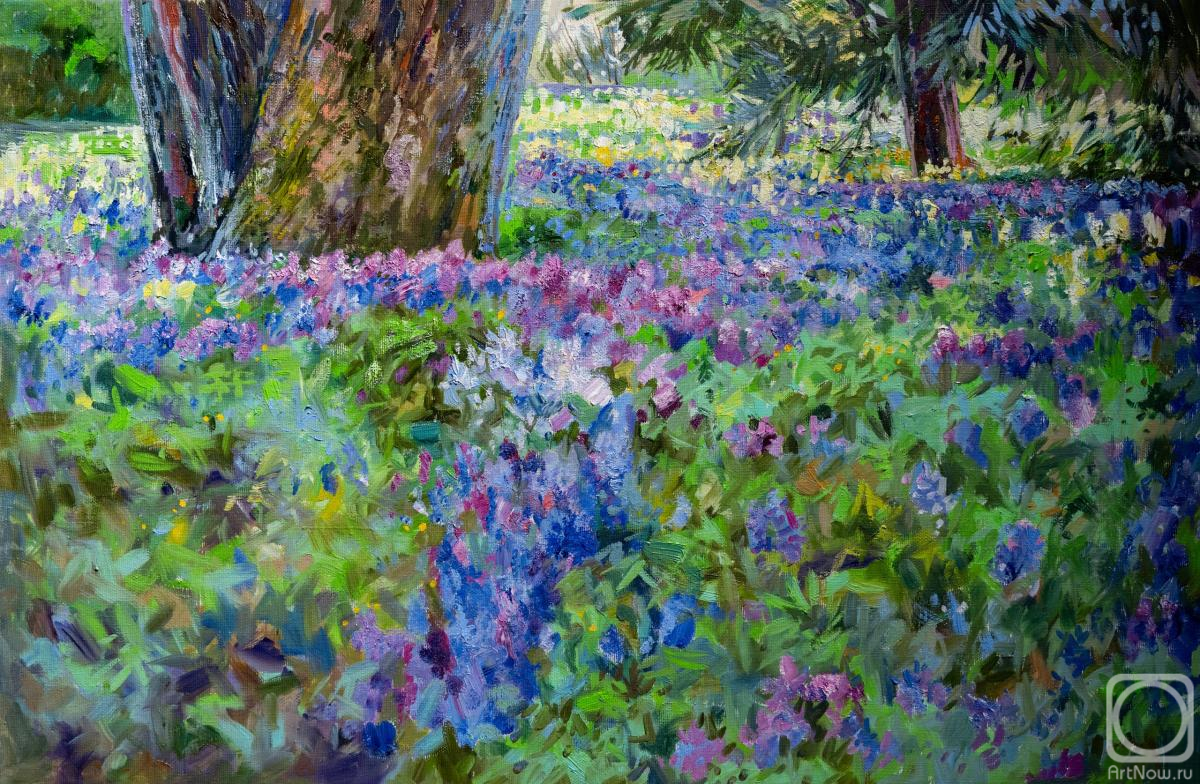 ������� ������ �� ������. ���������� ������. ������������ ���