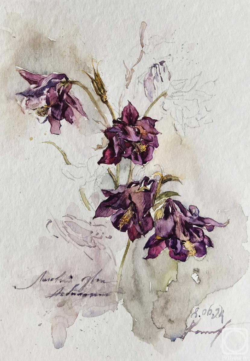 Podzhigaylo Katerina. Untitled