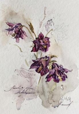 Untitled. Podzhigaylo Katerina