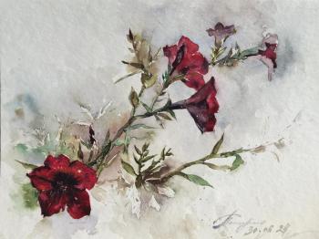 Untitled. Podzhigaylo Katerina