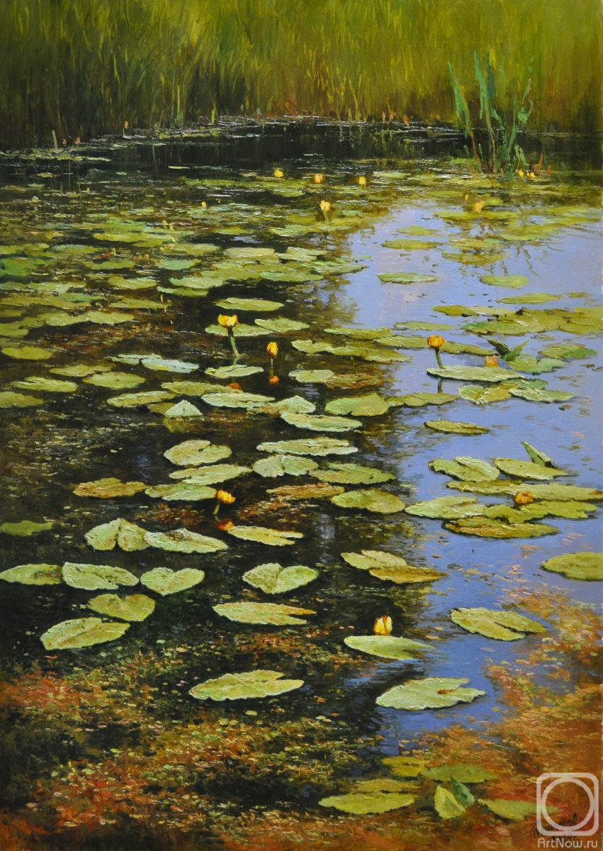 ������� ������ �� ������. ������ �������. ��������