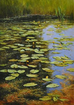 Nenyufar. Anikin Aleksey