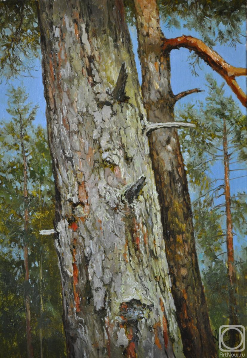 ������� ������ �� ������. ������ �������. �������