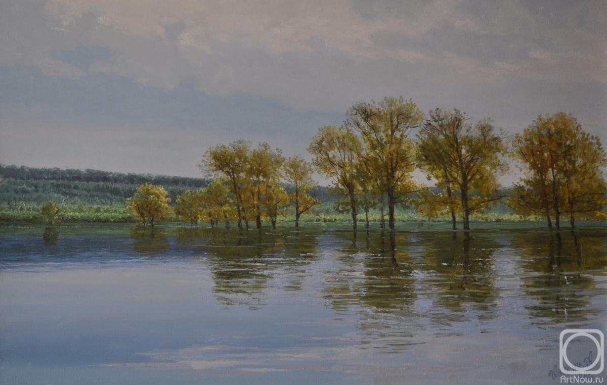 Anikin Aleksey. Through the Looking Glass