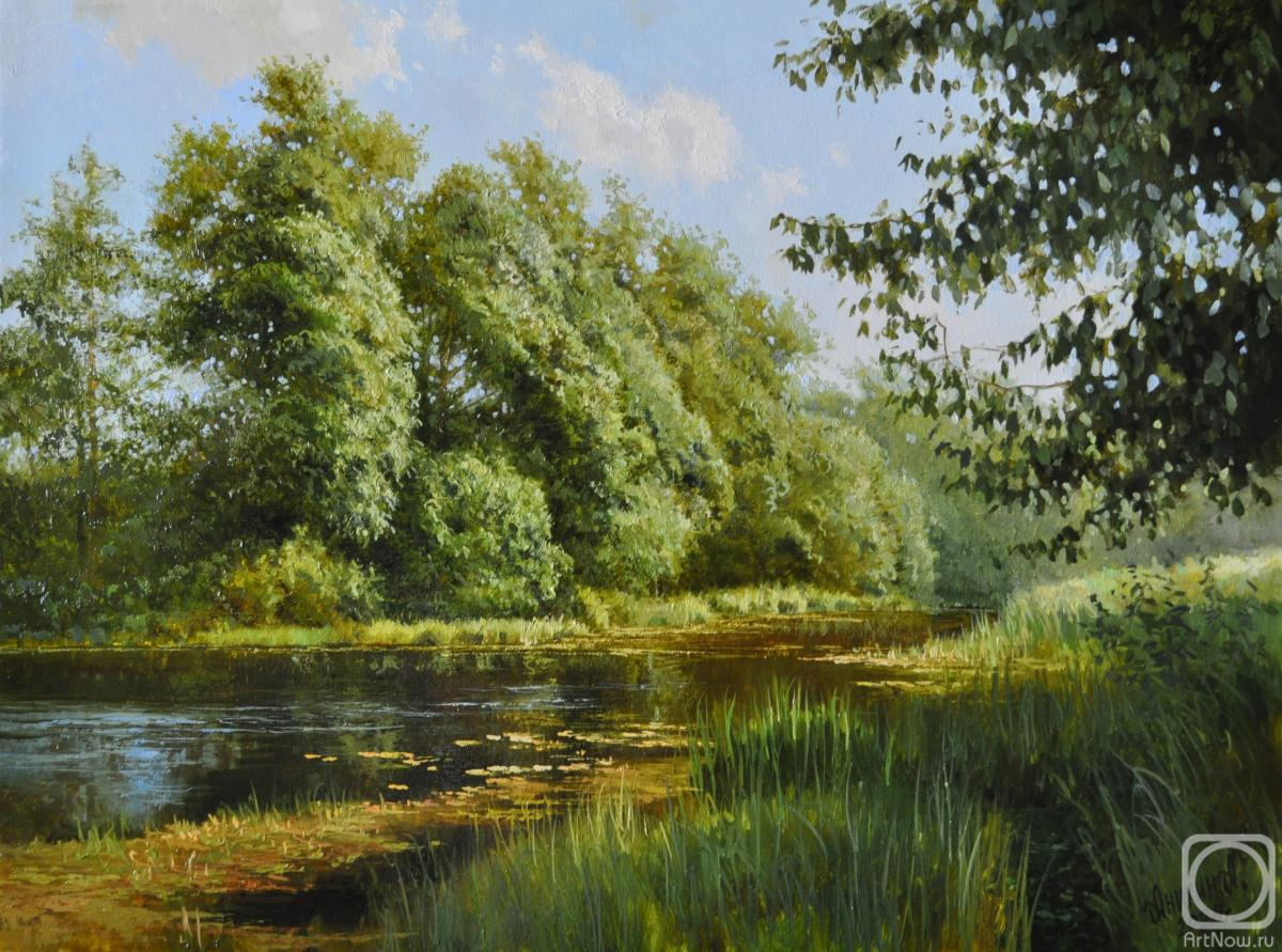 Anikin Aleksey. Only summer around