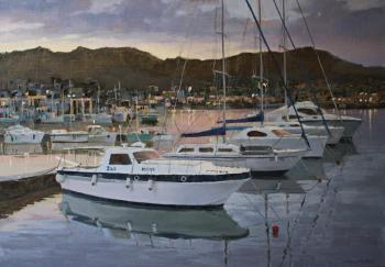 Evening at the port of San Benedetto