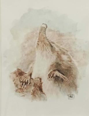 ������� ��������. ��������� ����