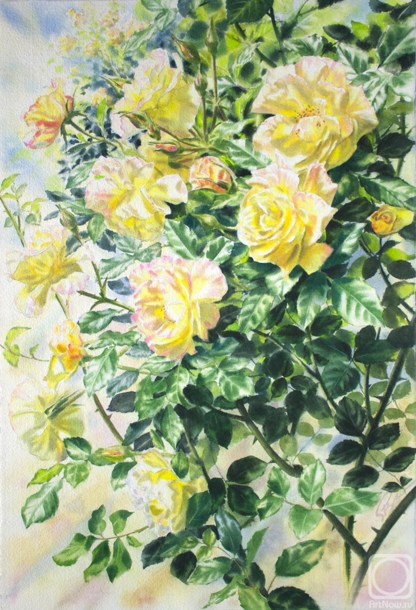 �������. �������� ������. ���� � �������