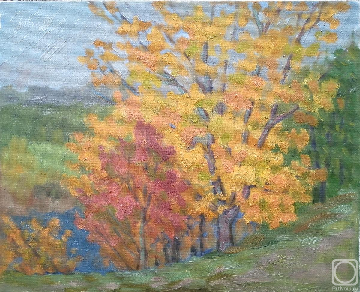 ������� ������ �� ������. �����������-�������� �����. ������� ����