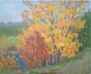 ������� �������� ����