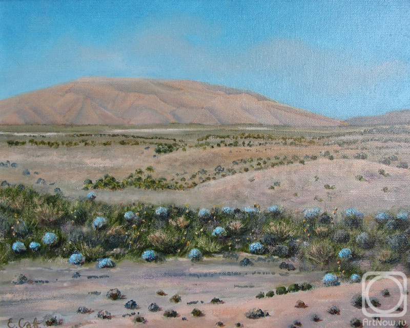 ������� ������ �� ������. ��������� �����. �����. ������� �����