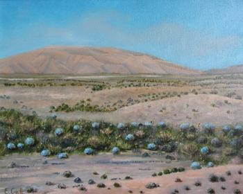 Tunisia. The desert is blooming. Savelyeva Elena