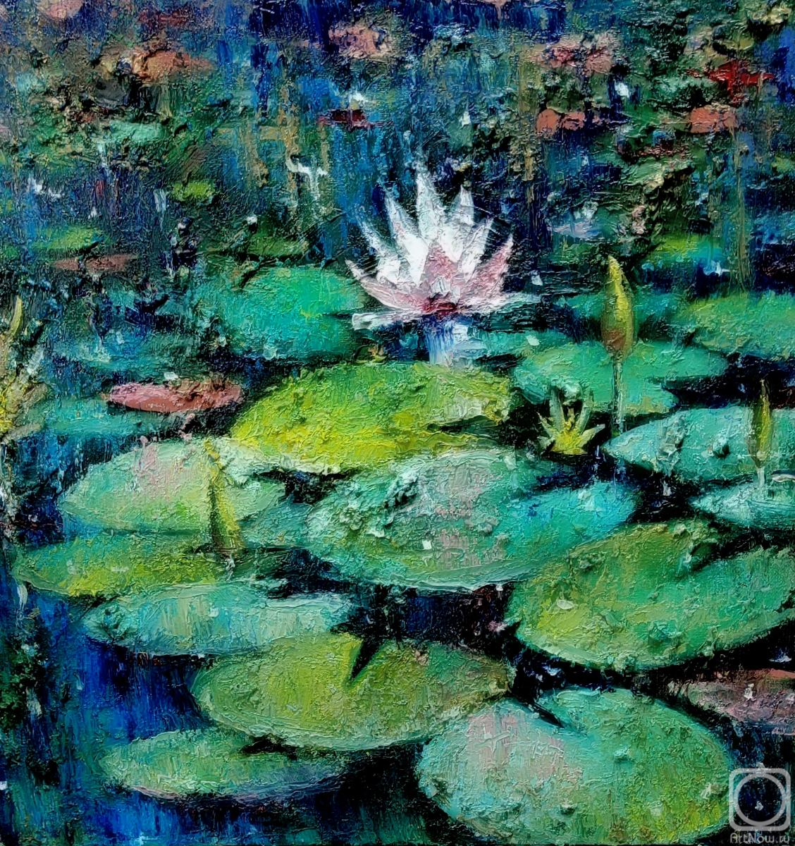 ������� ������ �� ������. �������� �����. �����