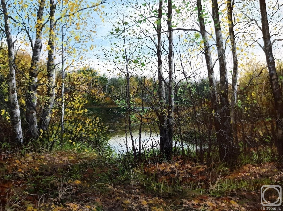 �������. ��������� �����. ������ �����