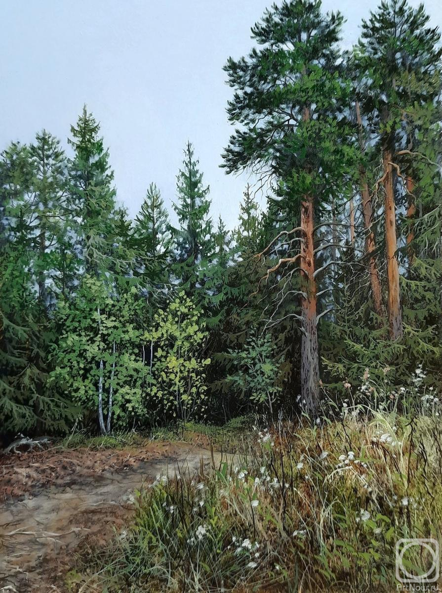 �������. ��������� �����. ��������. �������� �� ����