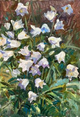White bells in the garden. Zhukova Juliya