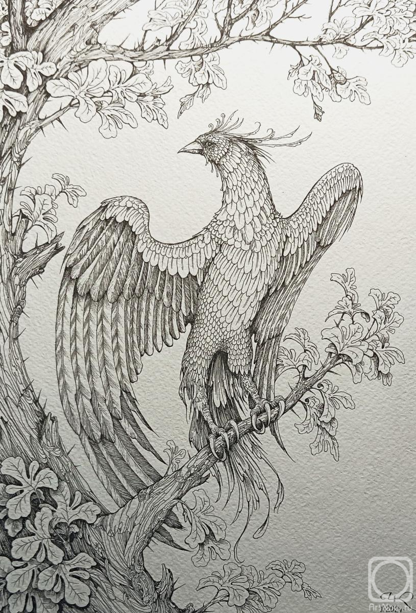 �������. ��������� ������. ����� ��� ����� 2