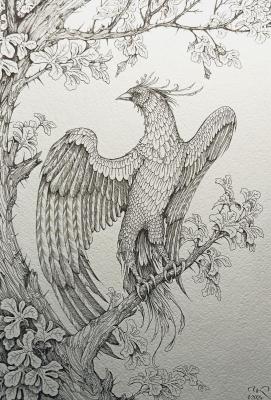 ����� ��� ����� 2. ��������� ������