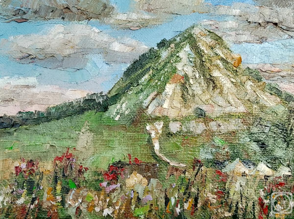 ������� ������ �� ������. ������ ���������. �������