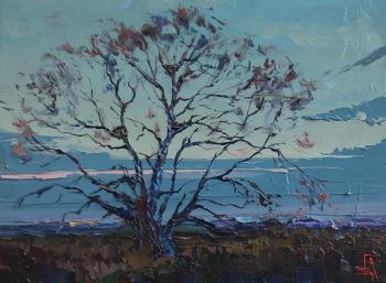 ������� ���������