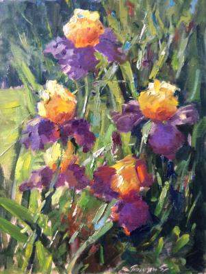 Irises