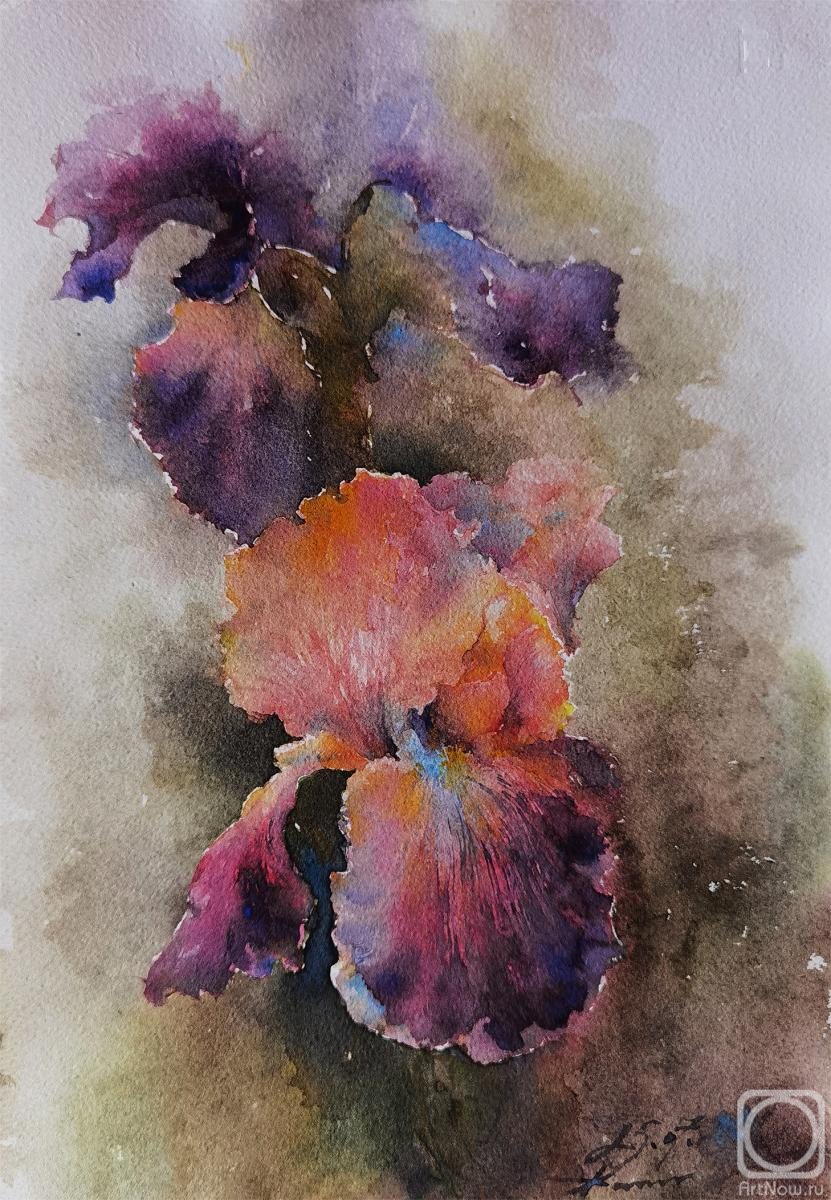 �������. ���������� ��������. ��������