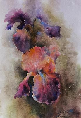 ��������. ���������� ��������