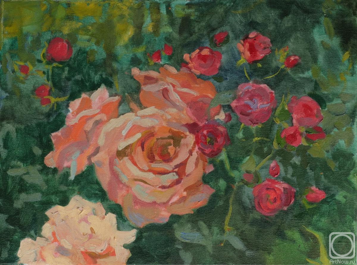 ������� ������ �� ������. ����������� ����������. ������� ���������