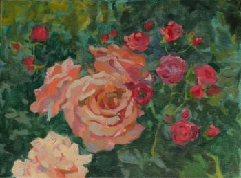 ������� �������� ���������