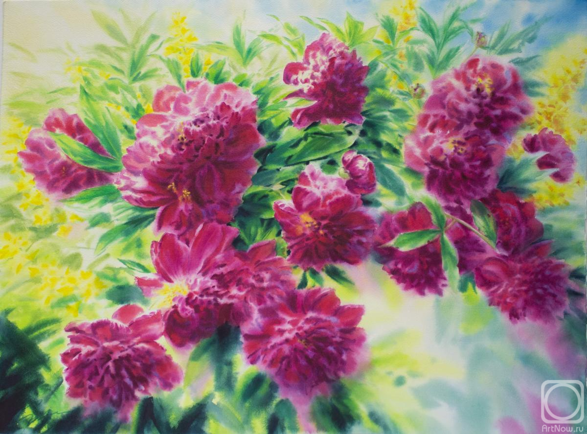 �������. �������� ������. ������� �����