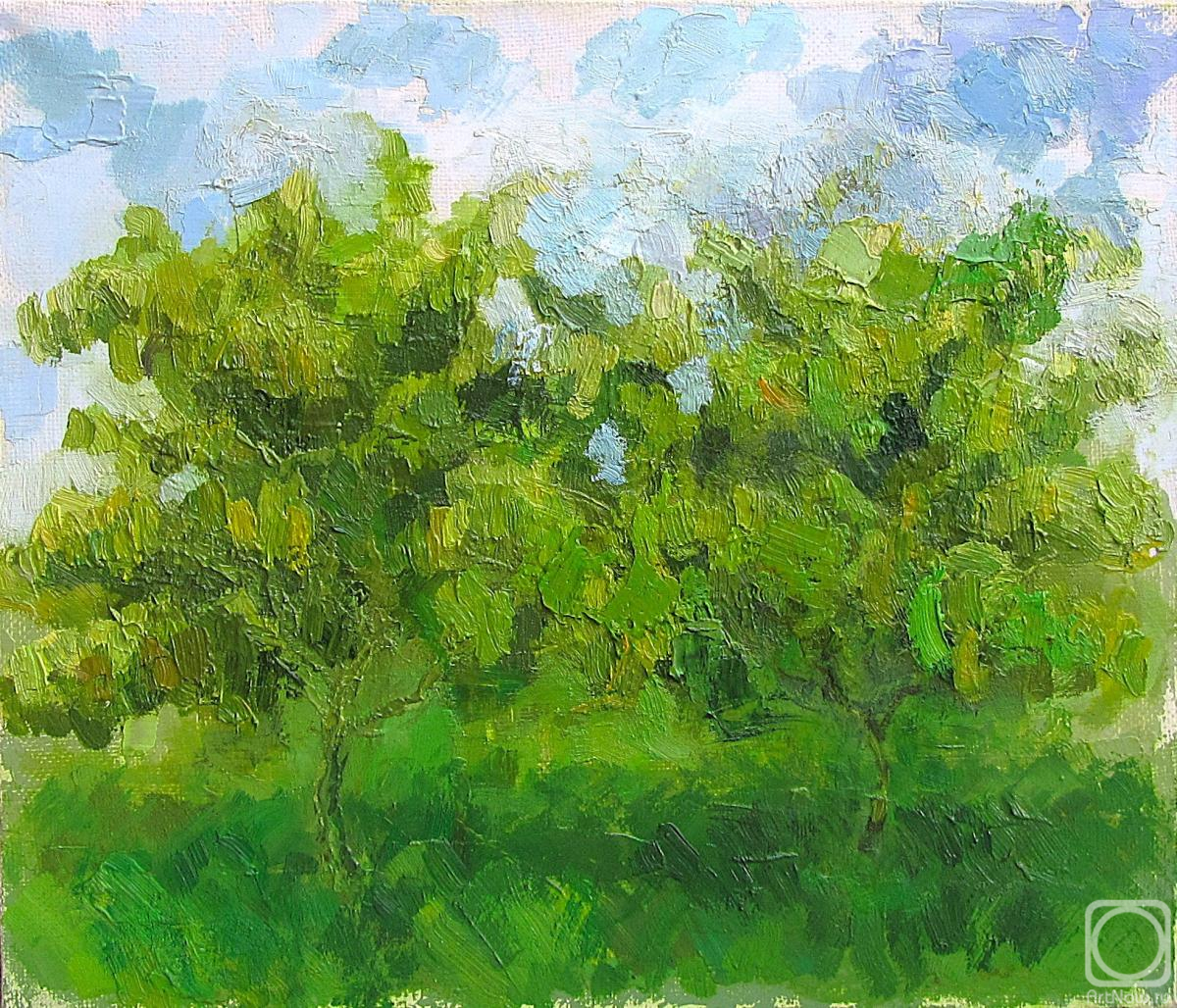 ������� ������ �� ������. ������� ��������. ���������� ���