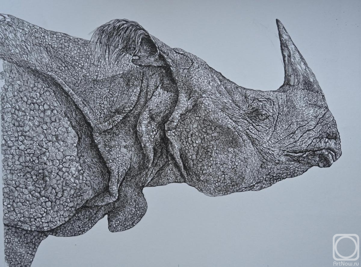 �������. ���������� ������. �������