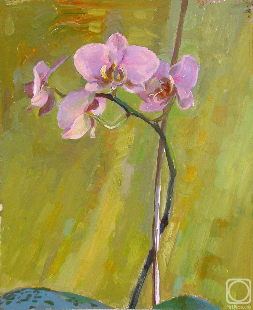 ������� ������ �� ������. ������-������� ������. �������