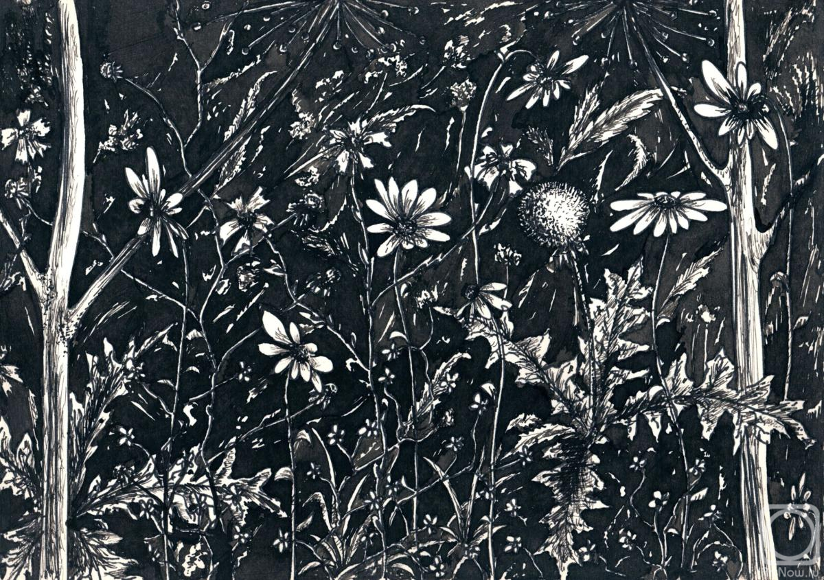 �������. ������� ��������. ������ �����������