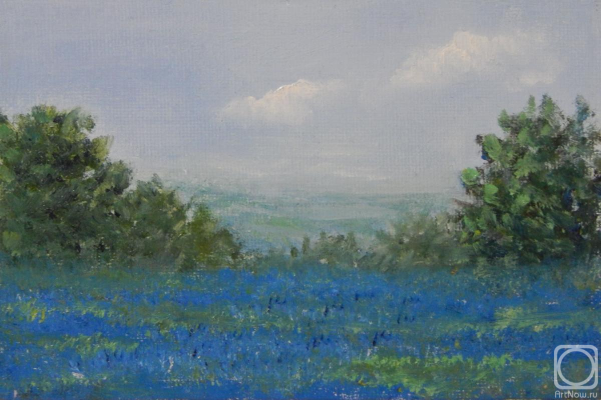 ������� ������ �� ������. ������ �������. �������