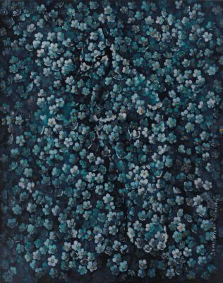 ������� ����� � ���������